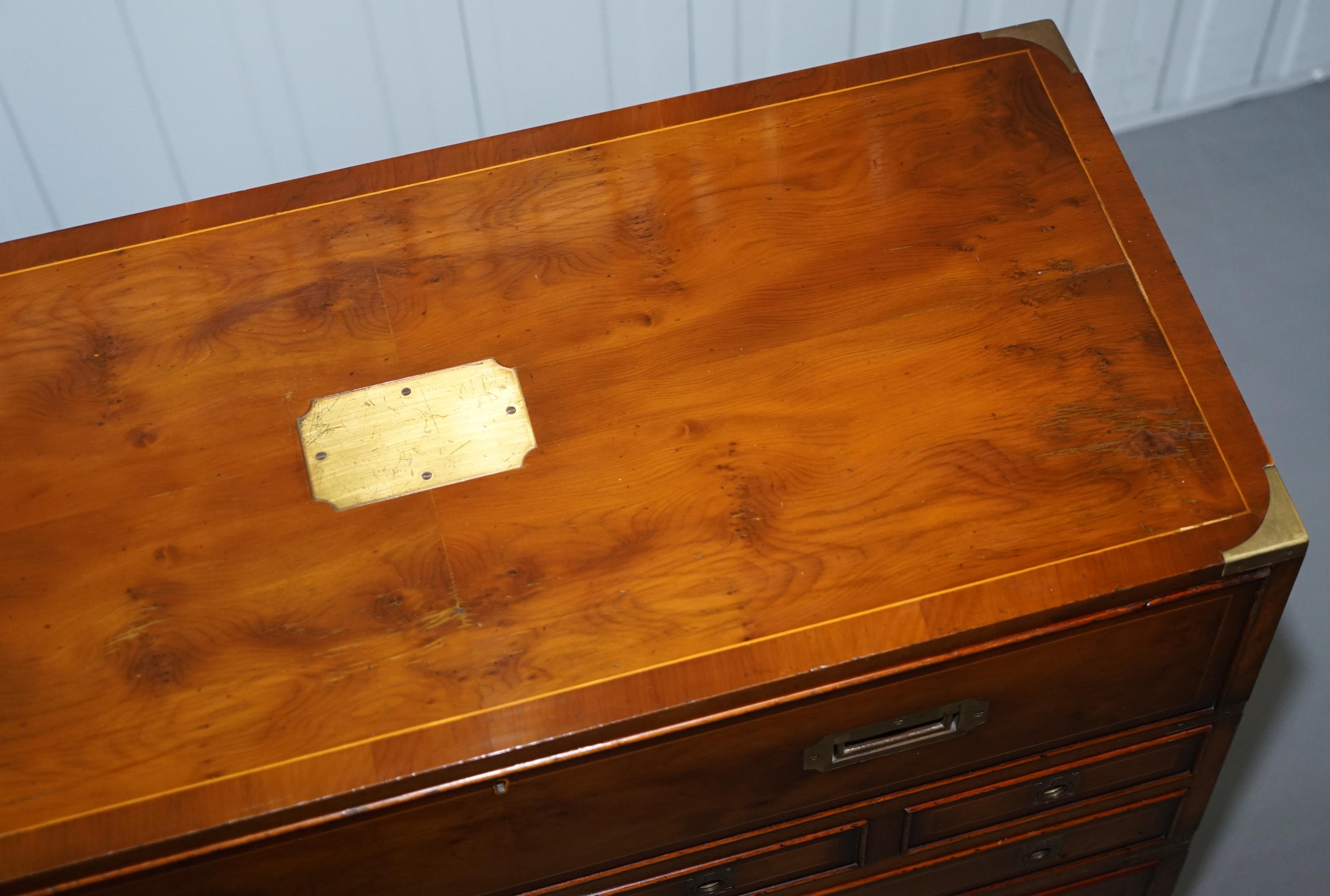 Lovely Burr Yew Wood Military Campaign Chest of Drawers Built in Drop Front Desk (20. Jahrhundert)