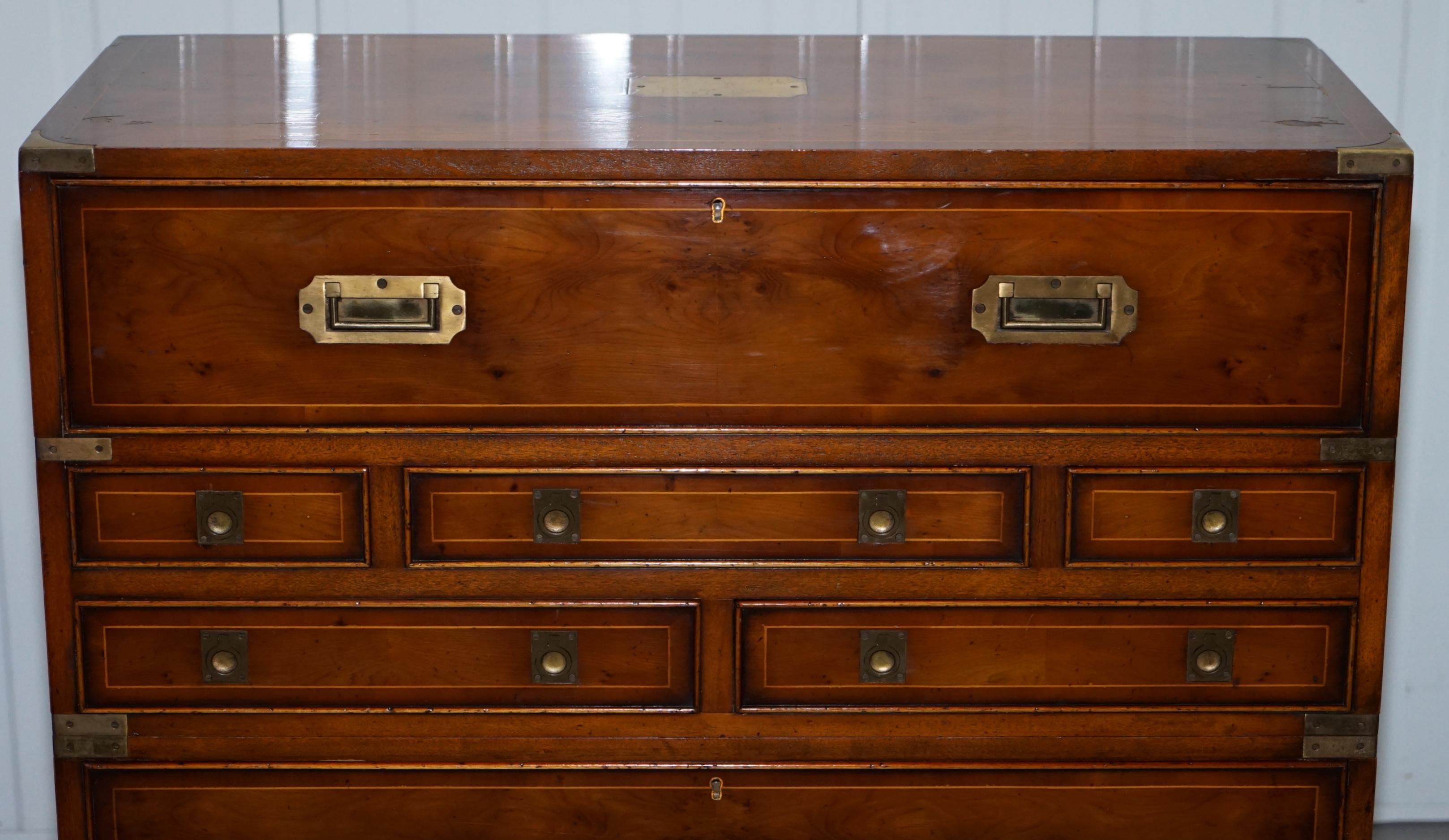 Lovely Burr Yew Wood Military Campaign Chest of Drawers Built in Drop Front Desk (Eibenholz)