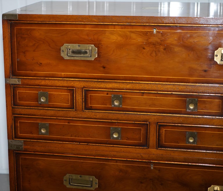 Lovely Burr Yew Wood Military Campaign Chest Of Drawers Built In