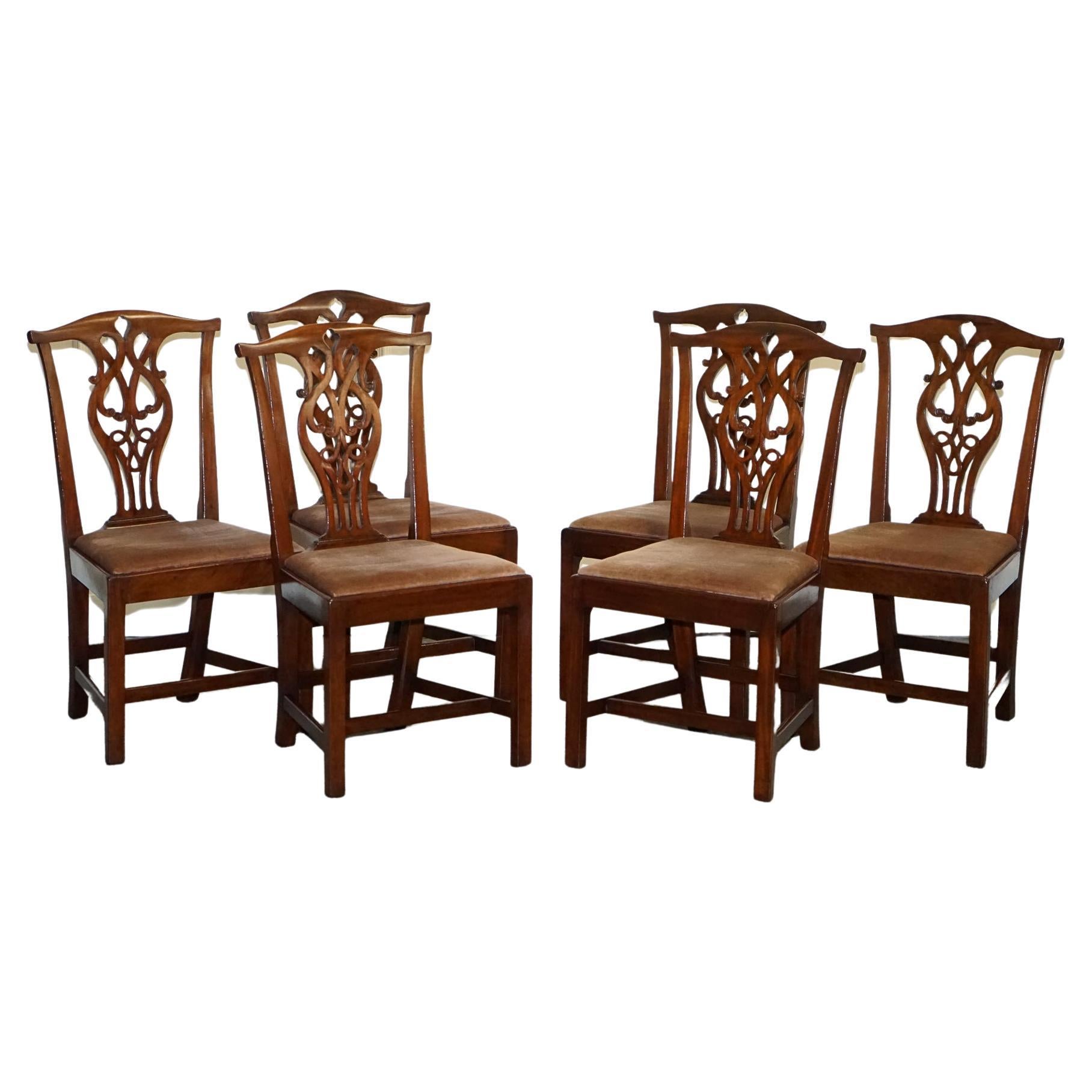Grazioso set di 6 sedie da pranzo in stile Chippendale con telaio H. H. in vendita