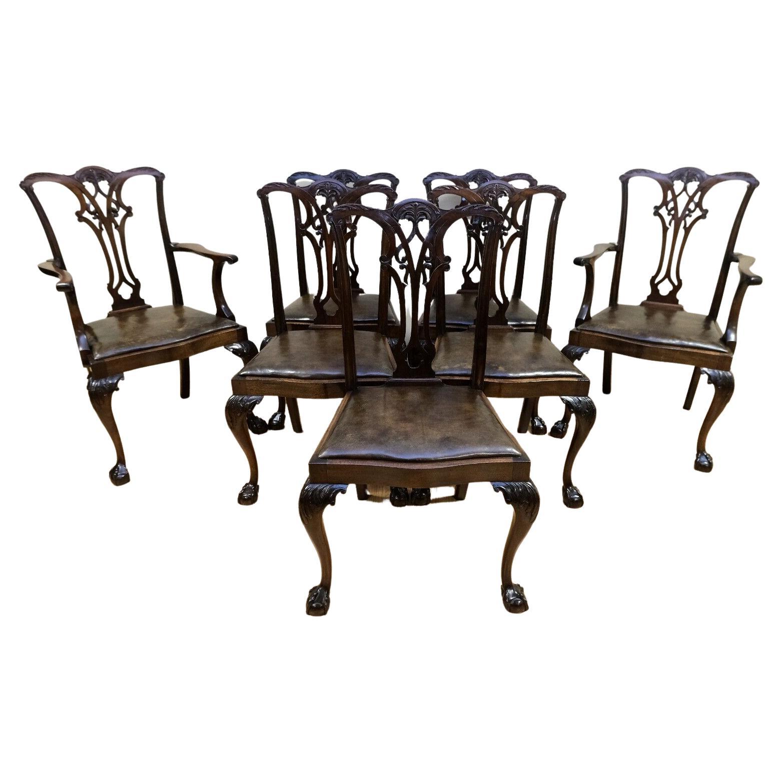 Lovely Chippendale Style Set of Six Dining Chairs Leather Seats Claw & Ball Feet