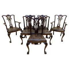 Lovely Chippendale Style Set of Six Dining Chairs Leather Seats Claw & Ball Feet