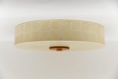 Lovely cocoon ceiling light by Friedel Wauer for GOLDKANT, 1960s Germany
