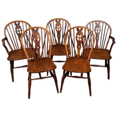 Dining Room Chairs