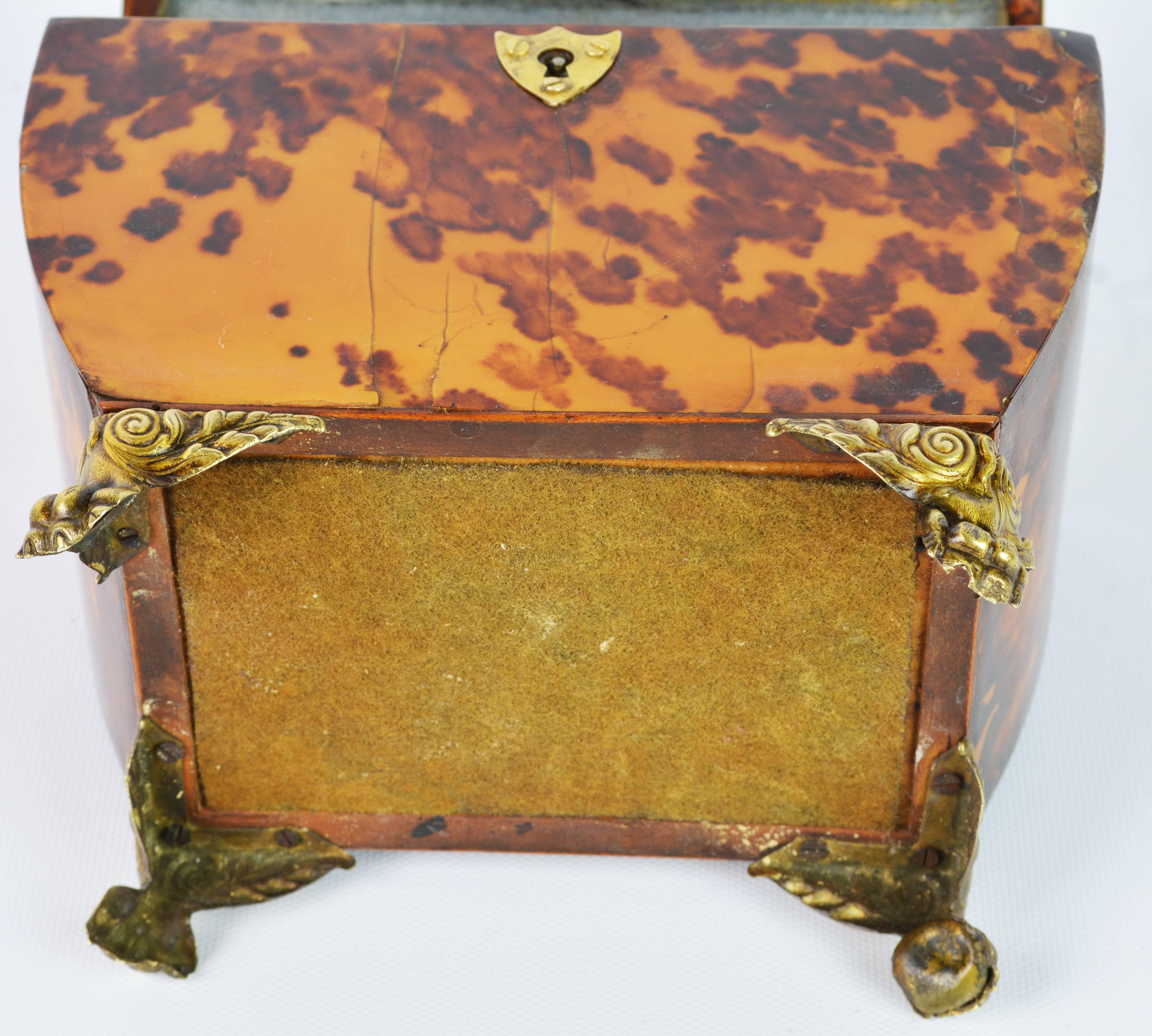 Lovely English Regency Tortoiseshell Footed Tea Caddy with Intach Interior 6