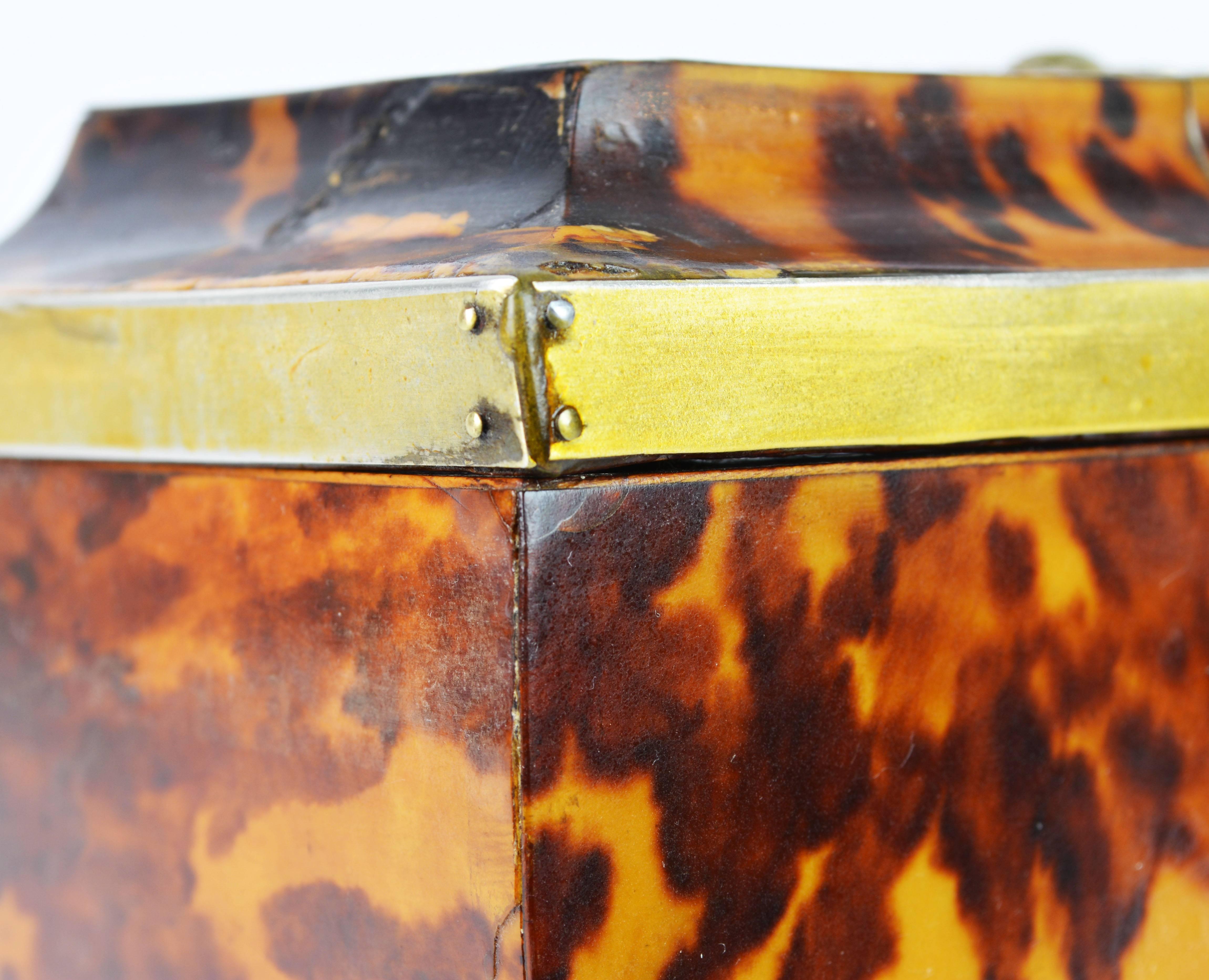 Lovely English Regency Tortoiseshell Footed Tea Caddy with Intach Interior 9