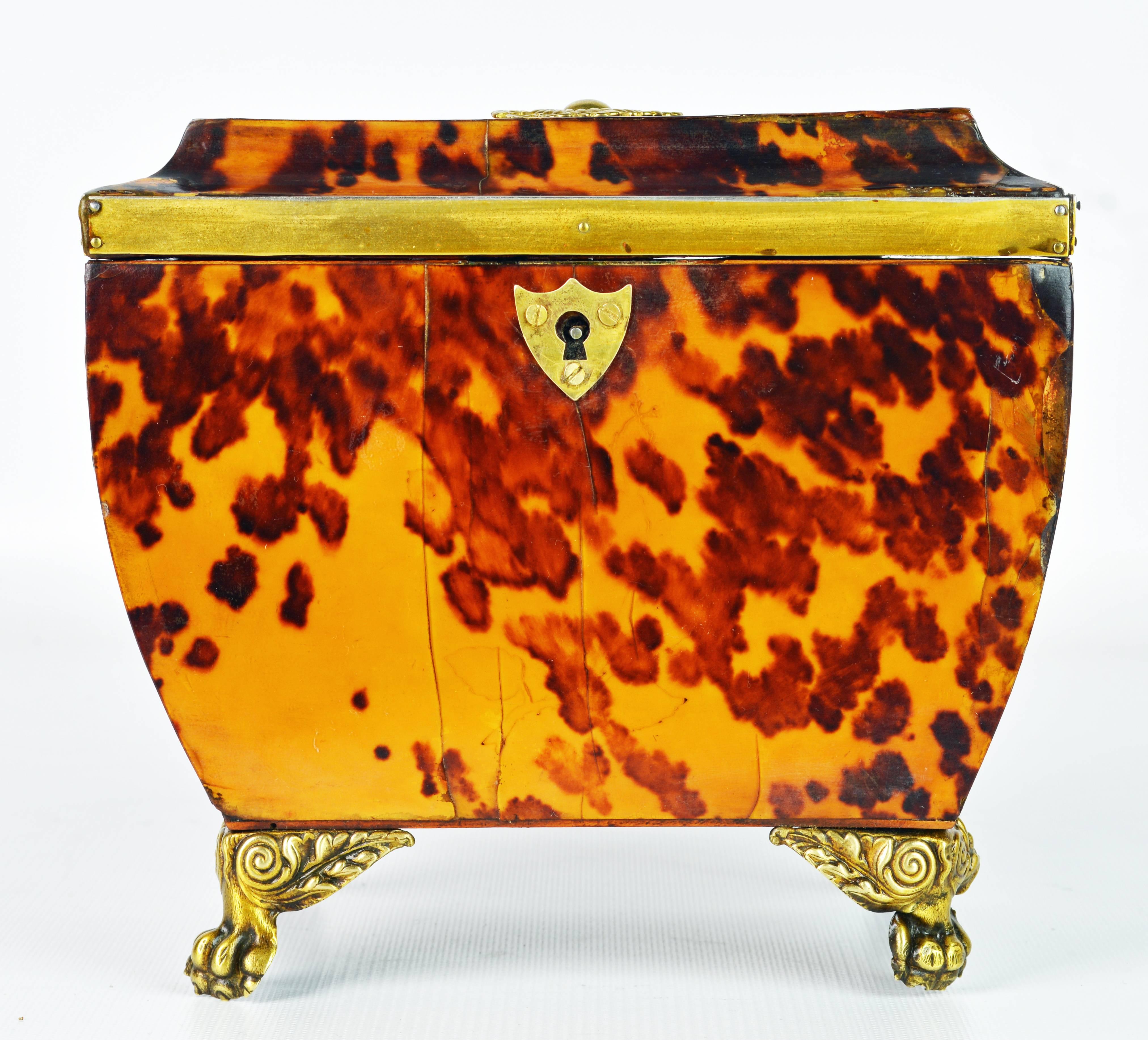 For connoisseurs this tortoise shell tea caddy is a gem. Shaped in the classic regency form and standing on four winged lion paw bronze feet the brass edged and bronze rosette adorned lid opens up to an interior with two lidded compartments