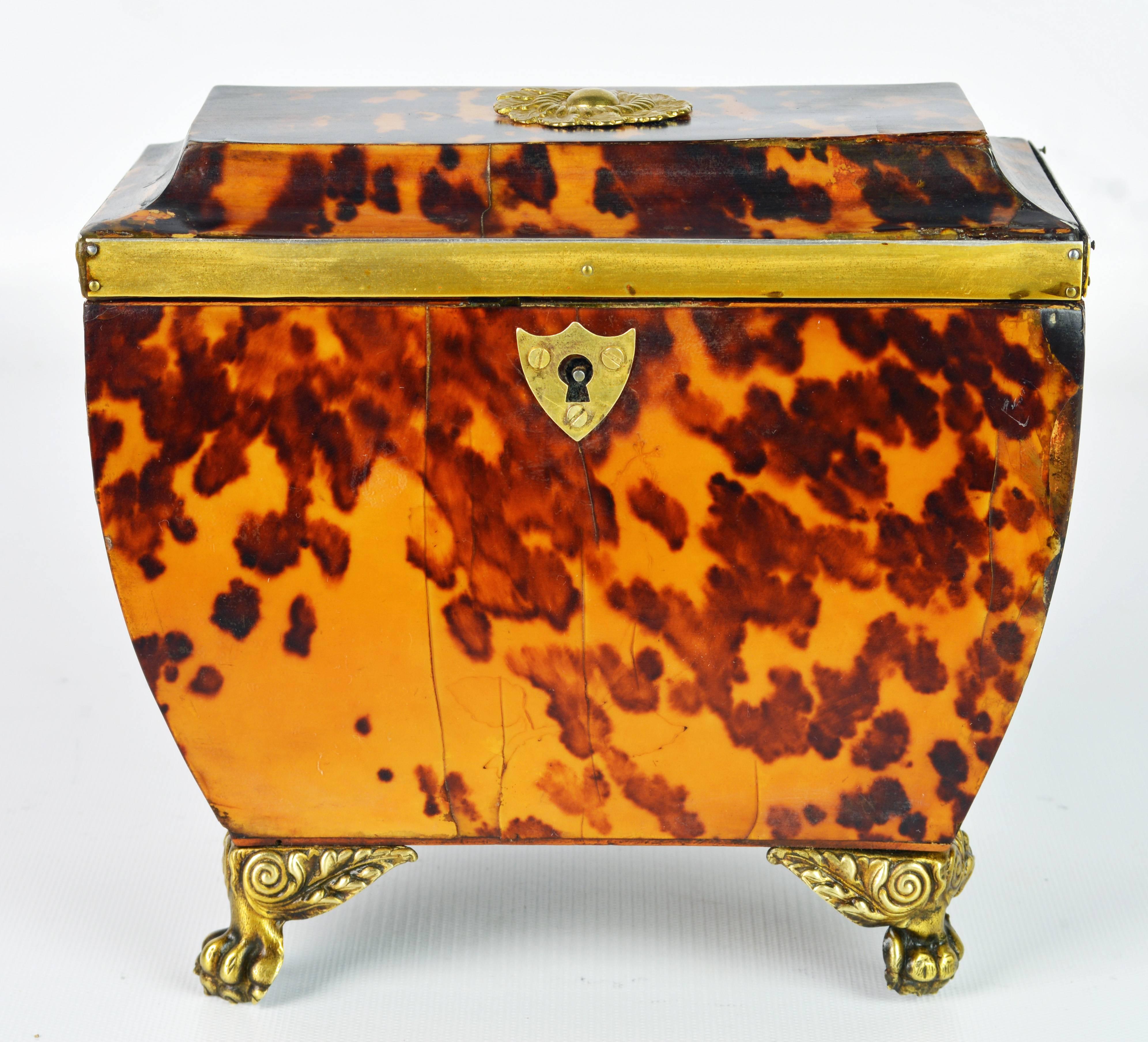 Lovely English Regency Tortoiseshell Footed Tea Caddy with Intach Interior In Good Condition In Ft. Lauderdale, FL