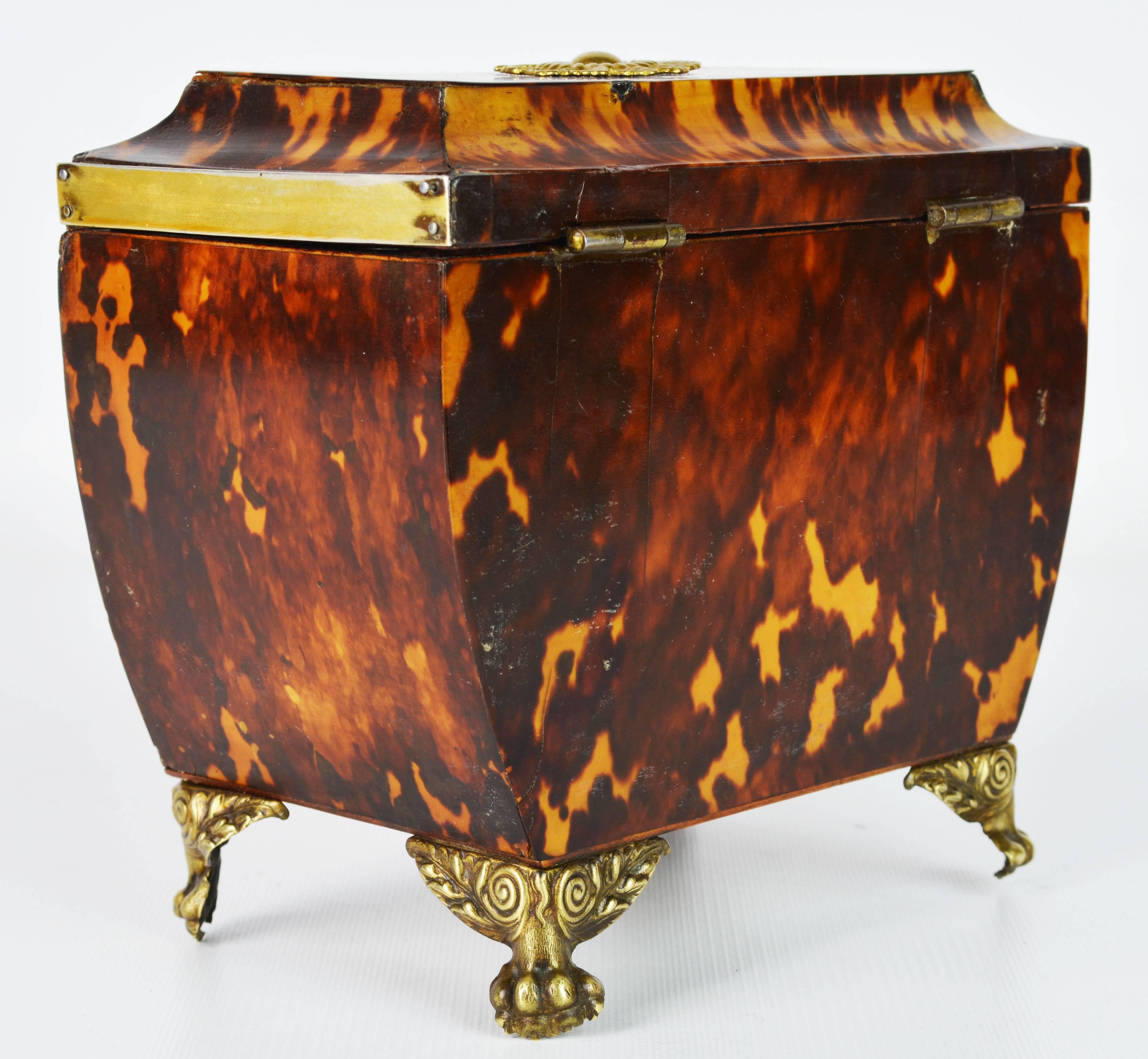 Brass Lovely English Regency Tortoiseshell Footed Tea Caddy with Intach Interior