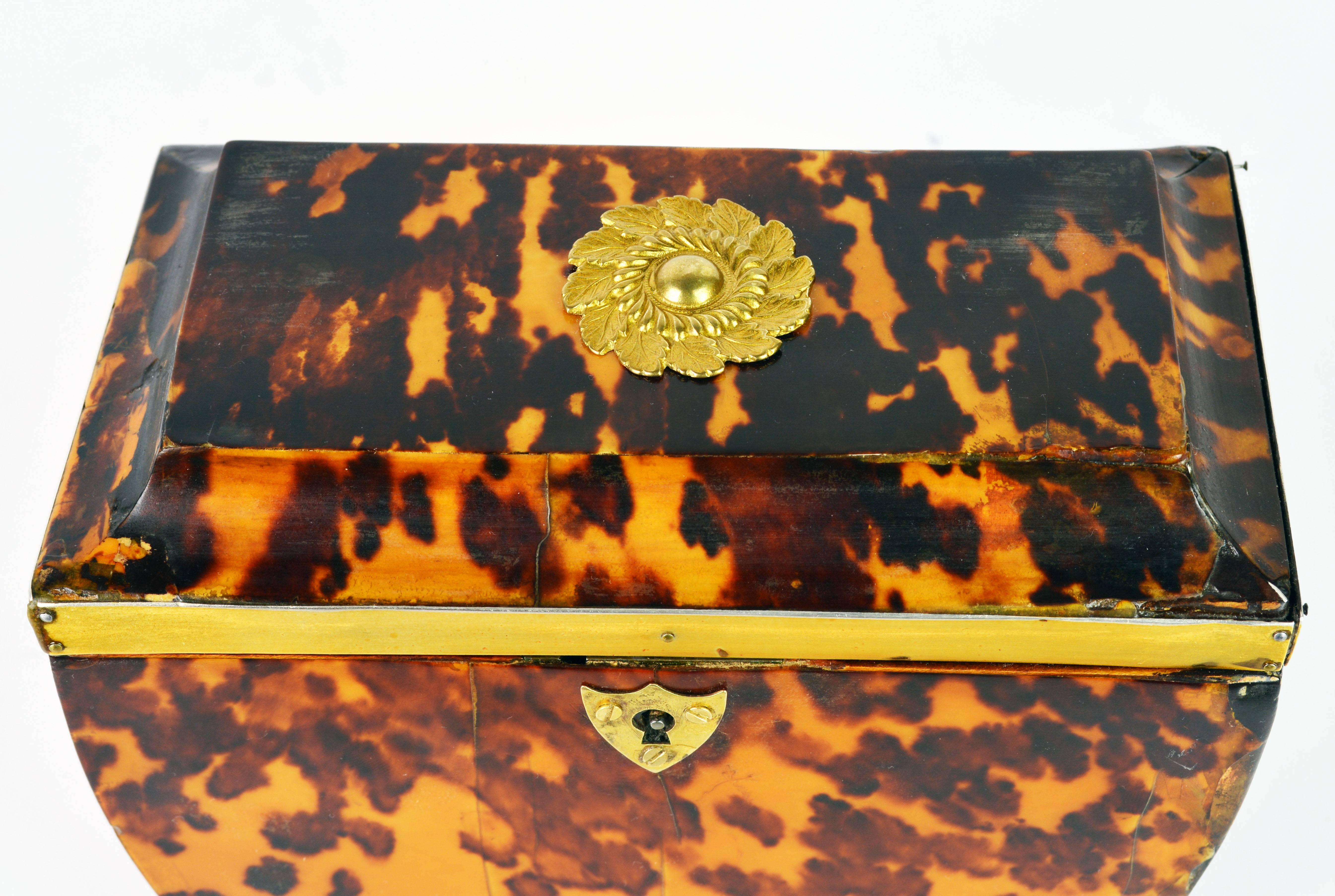 Lovely English Regency Tortoiseshell Footed Tea Caddy with Intach Interior 2