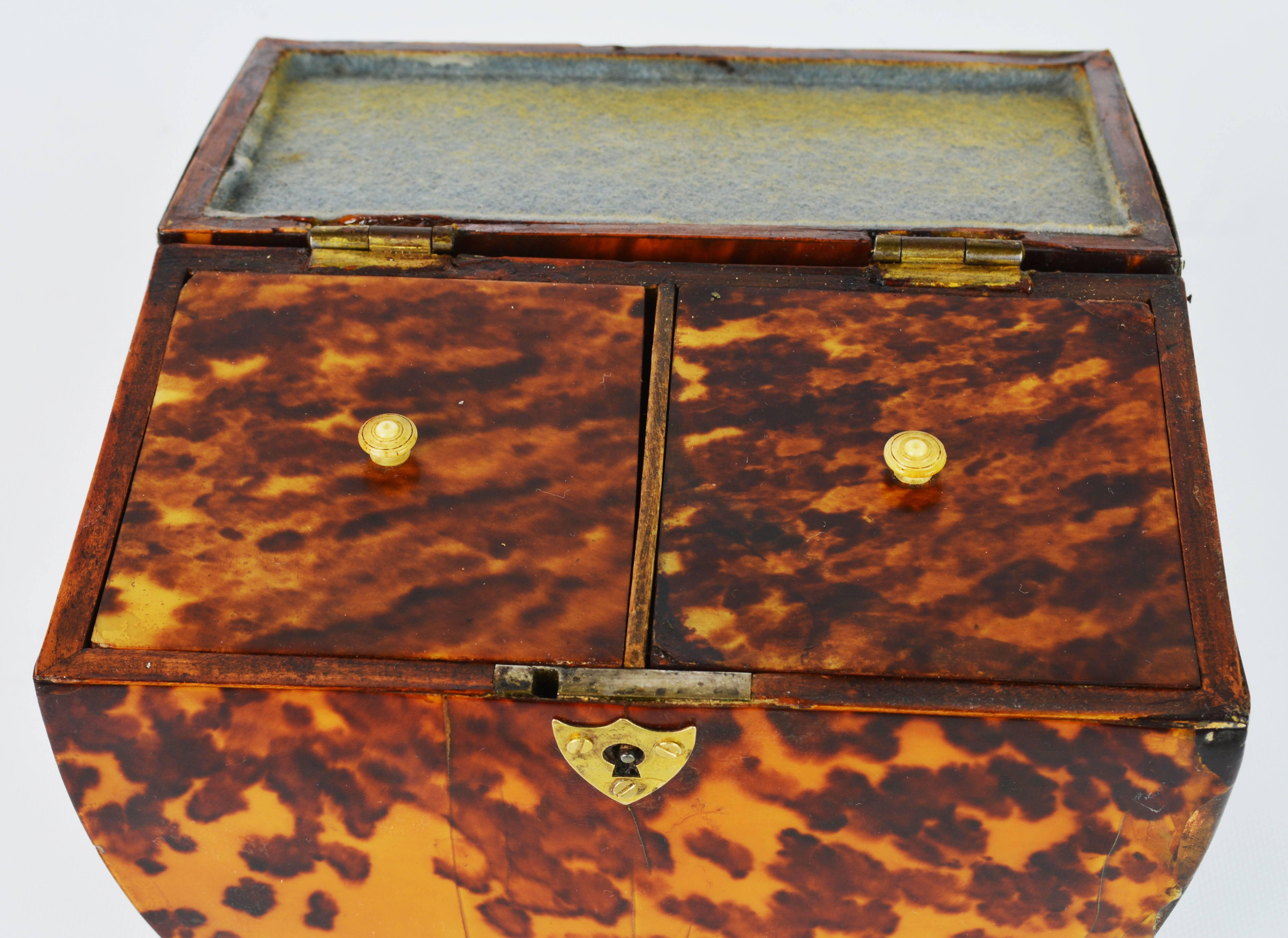 Lovely English Regency Tortoiseshell Footed Tea Caddy with Intach Interior 3