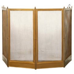 Lovely Fireplace Screen