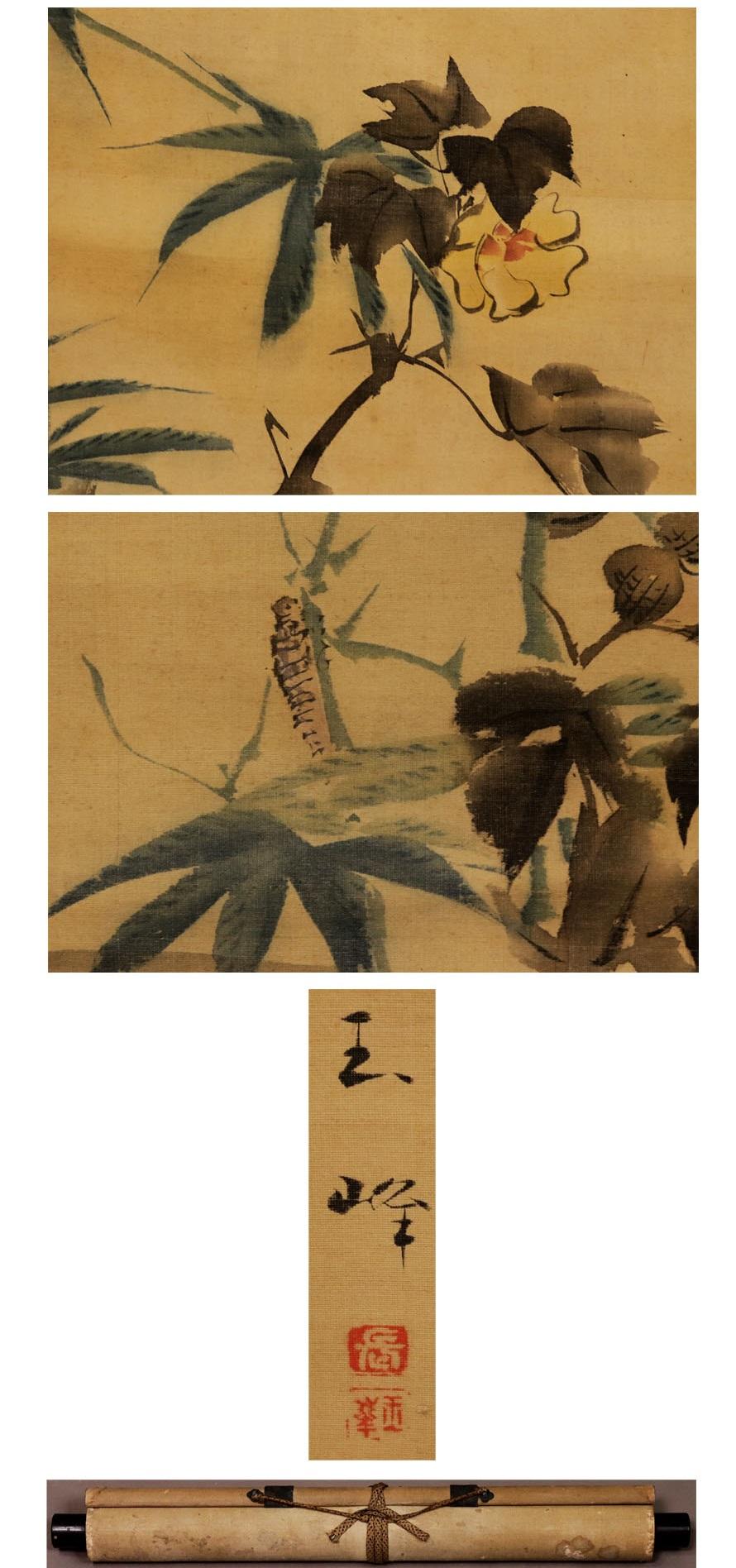 XIXe siècle Ravissante rouleau Edo japonais du 18ème siècle par Tamamine Hasegawa, Fleurs du 19ème siècle en vente