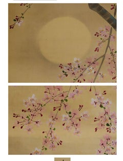 Lovely Japanese 19/20th c Scroll by Shuko Nakayama Nihonga Painting Cherry Bloss