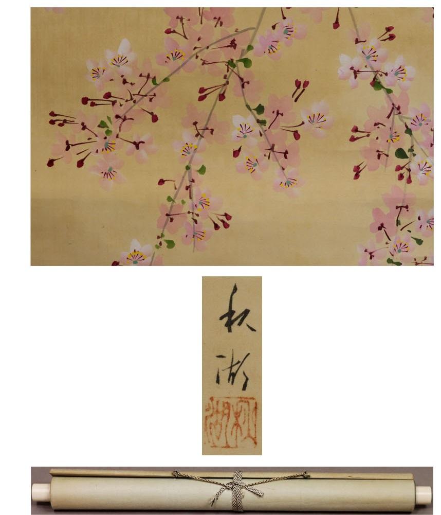 20th Century Lovely Japanese 19/20th c Scroll by Shuko Nakayama Nihonga Painting Cherry Bloss For Sale