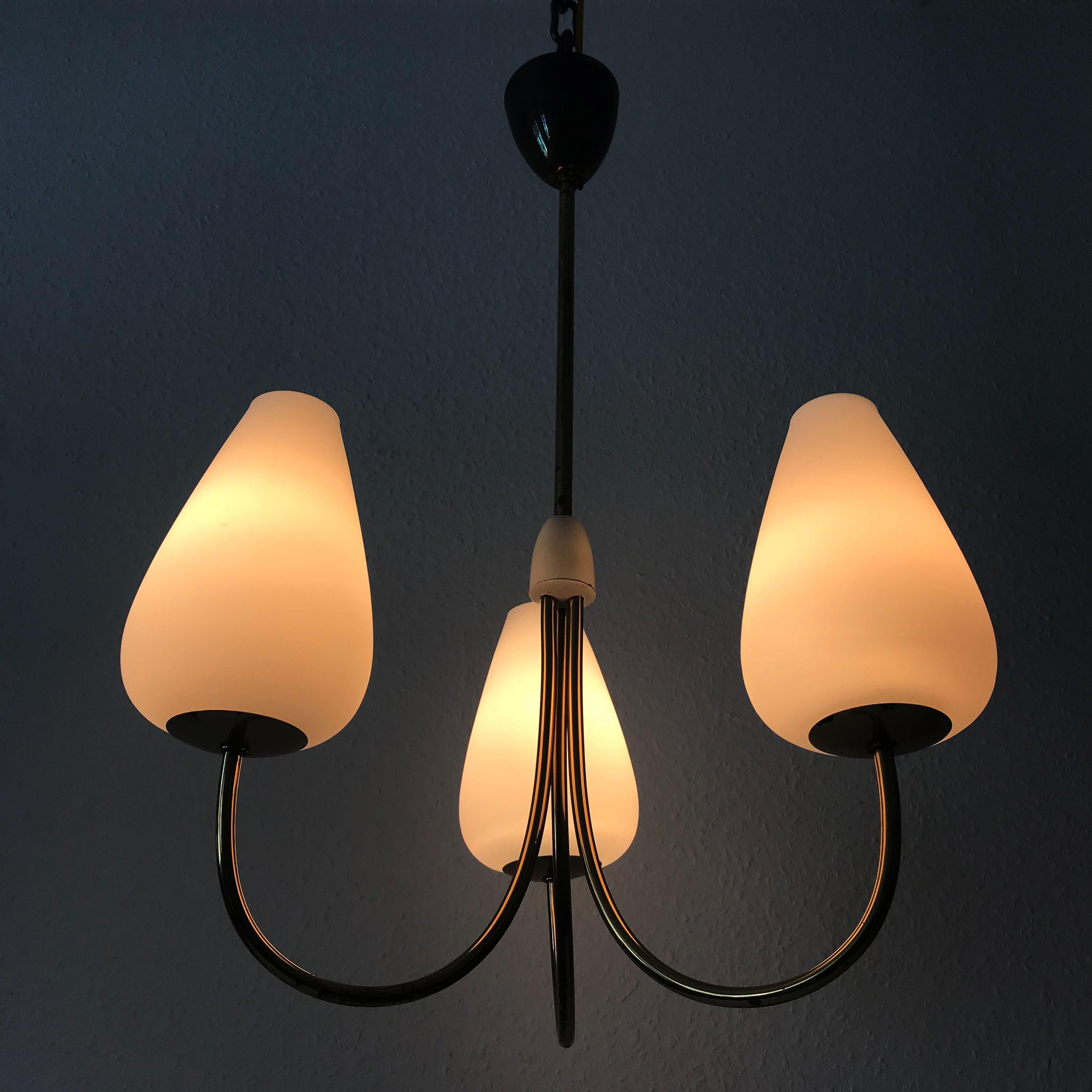 Lovely Mid-Century Modern Chandelier or Pendant Lamp, 1950s, Germany 3