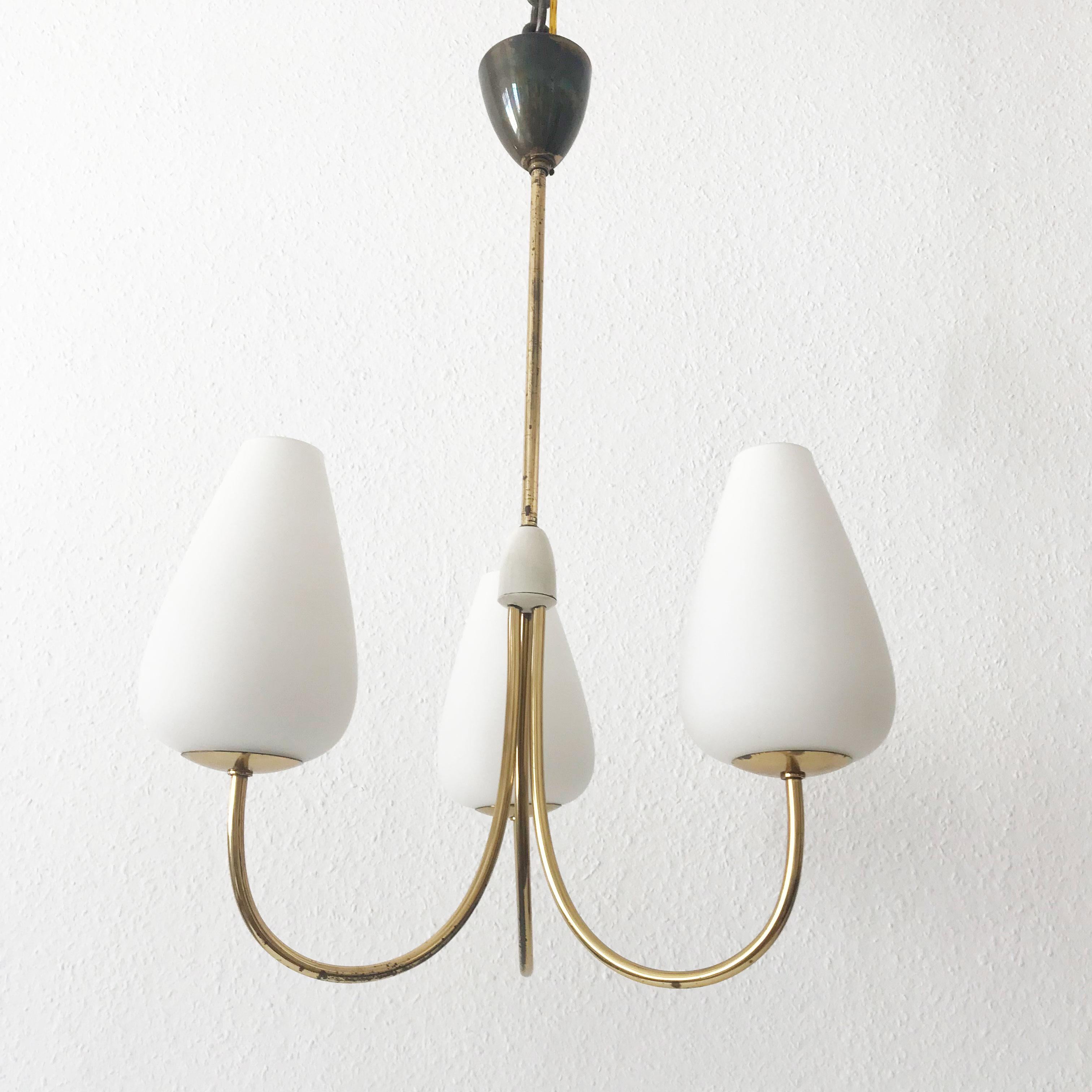 Lovely Mid-Century Modern Chandelier or Pendant Lamp, 1950s, Germany 4