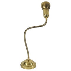 Bellissima lampada da tavolo in ottone in stile Mid-Century Modern con braccio a collo d'oca, Germania, anni '70