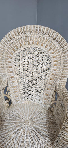 Lovely Painted Wicker Peacock Chair