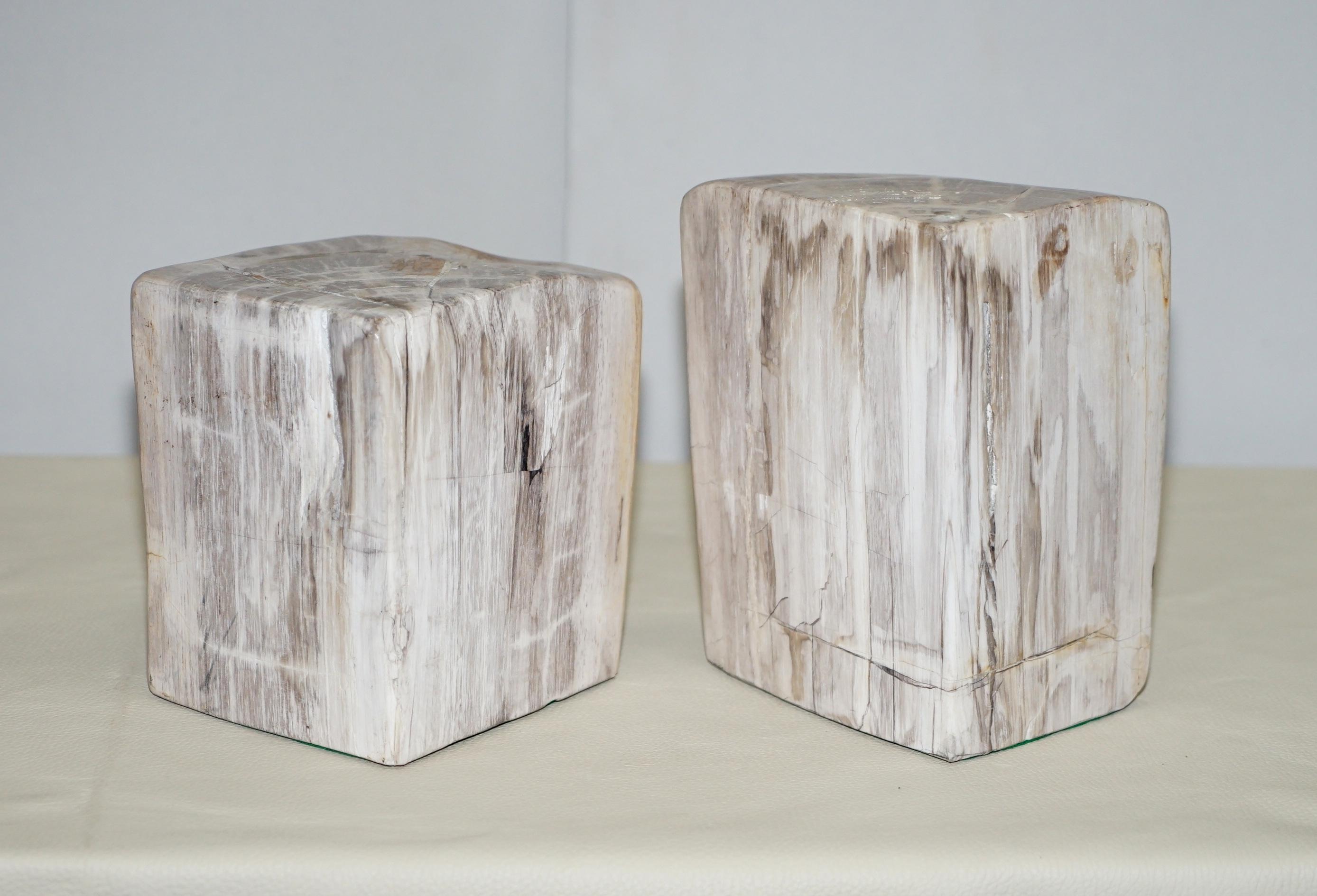 We are delighted to offer for sale this lovely pair of 180+ Million year old petrified fossil wood lumps to be used as bookends door stops or decoration

They are all used, they have a sublime patination, exceptionally decorative I absolutely love