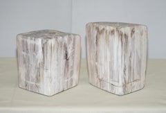 Lovely Pair of 180 Million Year Old Pretrified Fossil Wood Bookends Door Stops