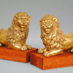 Paire d'adorables lions en bois d'olivier italiens du 18e siècle