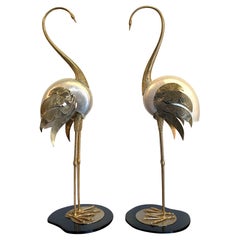 Lovely Pair of 1970s Brass and Real Nautilus Shell Flamingos by Antonio Pavia