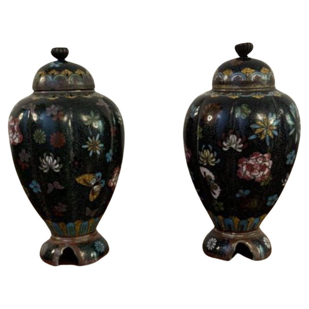 Bella coppia di vasi antichi con coperchio in cloisonne