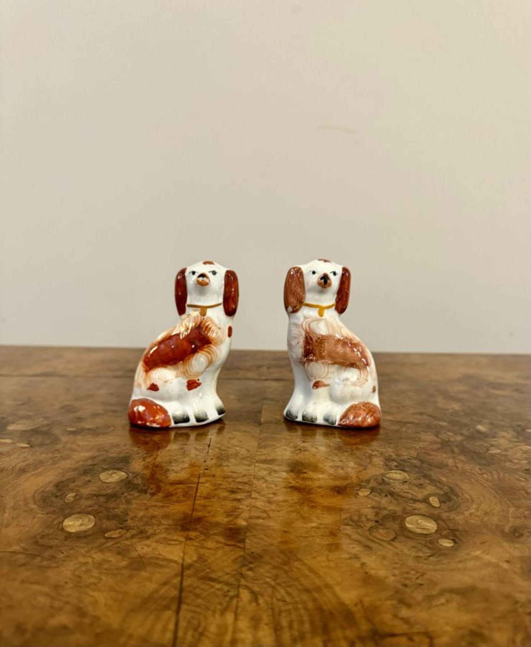 Lovely pair of antique Victorian miniature Staffordshire dogs, having a lovely pair of antique Victorian Staffordshire dogs with matching coats and collars.

D. 1880