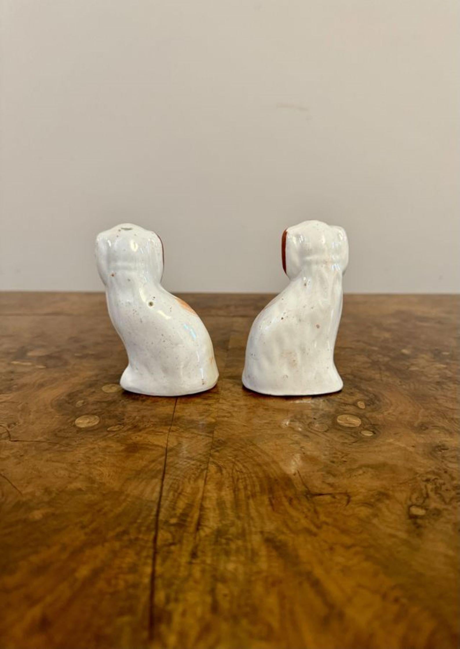 XIX secolo Bella coppia di antichi cani Staffordshire in miniatura di epoca vittoriana in vendita