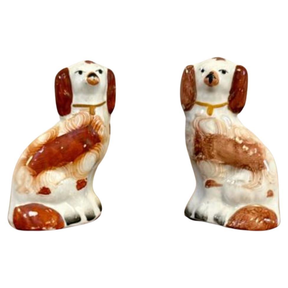 Hübsches Paar antiker viktorianischer Miniatur Staffordshire Hunde 