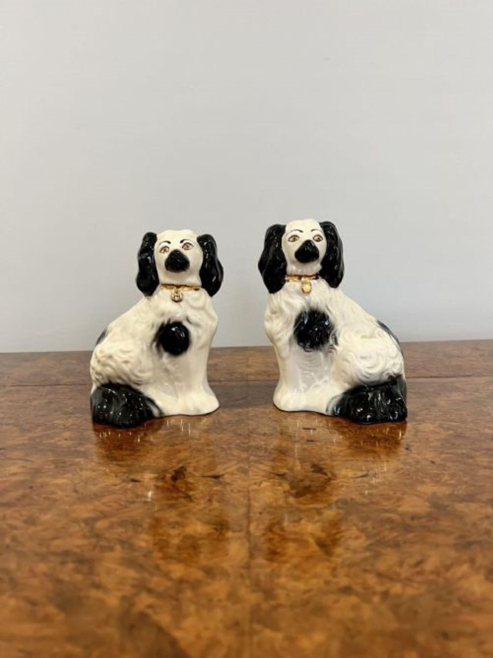 Lovely pair of quality antique Beswick Staffordshire dogs having a lovely quality pair of Beswick Staffordshire dogs with matching black and white coats wearing matching gold gilded collars and padlocks , markings to the base. 