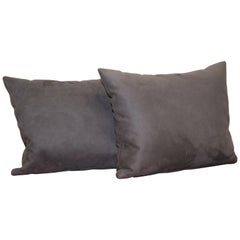 Jolie paire de grands coussins en daim souple gris éparpillés du canapé Fendi