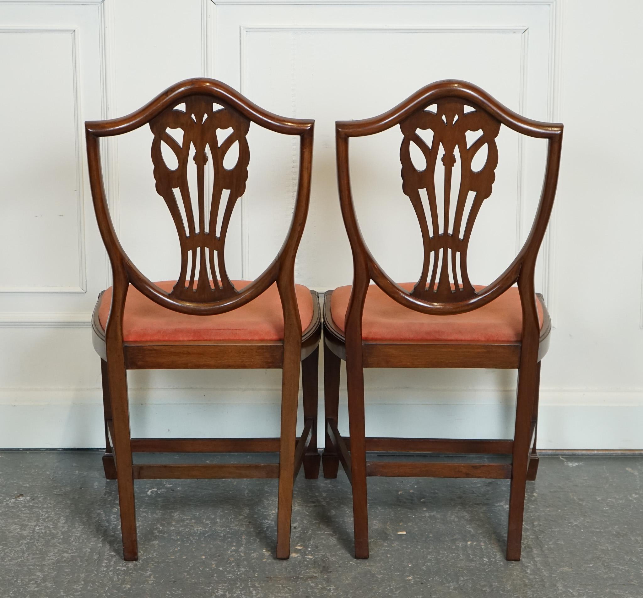 LOVELY PAiR OF VICTORIAN HEPPLEWHITE HALLWAY SIDE CHAIRS FEATHER FILLED (Handgefertigt) im Angebot