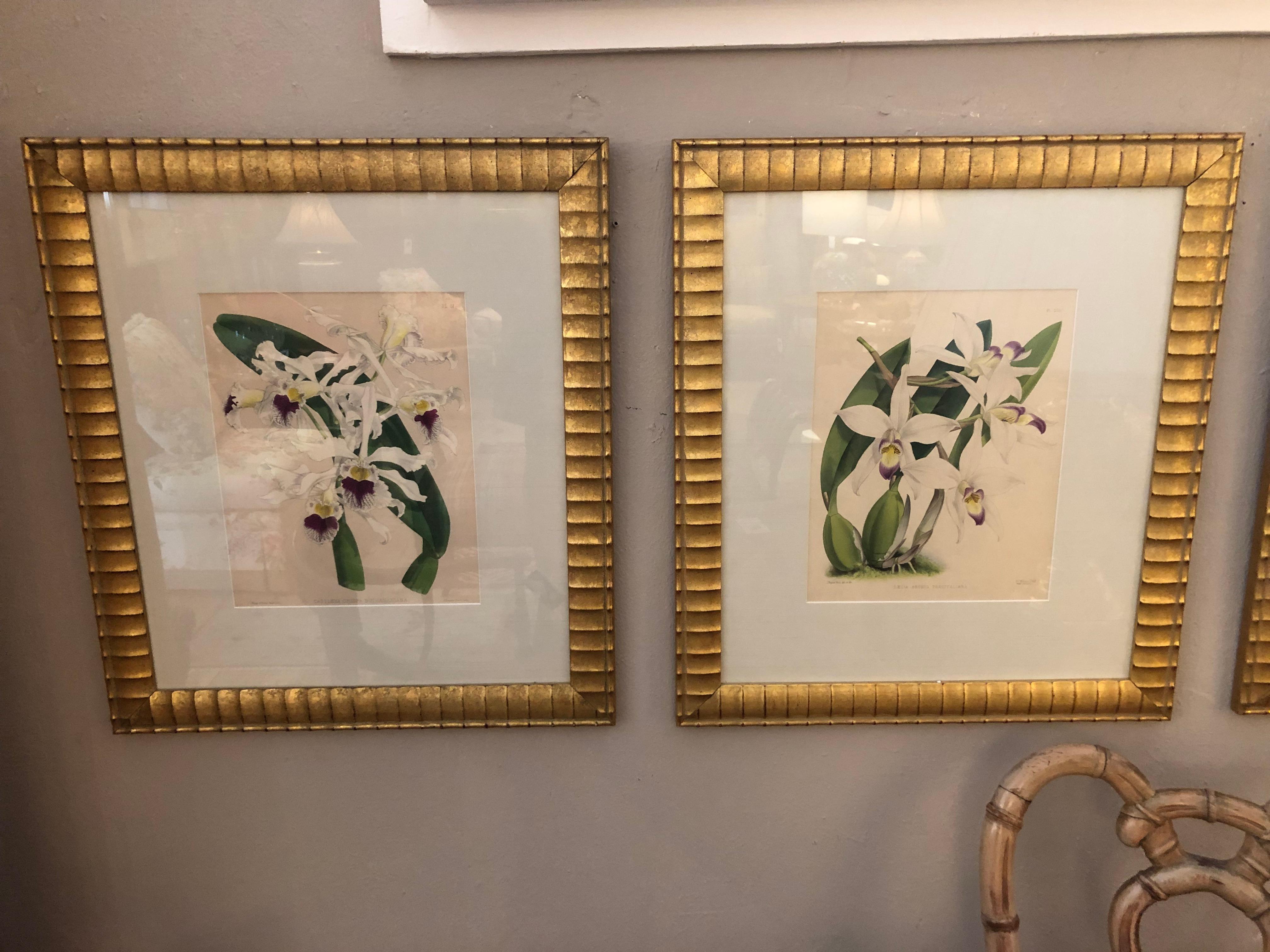 Lovely Pairs of John Newton Botanical Orchid Prints  In Good Condition For Sale In Hopewell, NJ