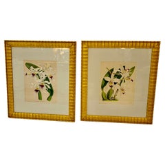 Lovely Pairs of John Newton Botanical Orchid Prints 
