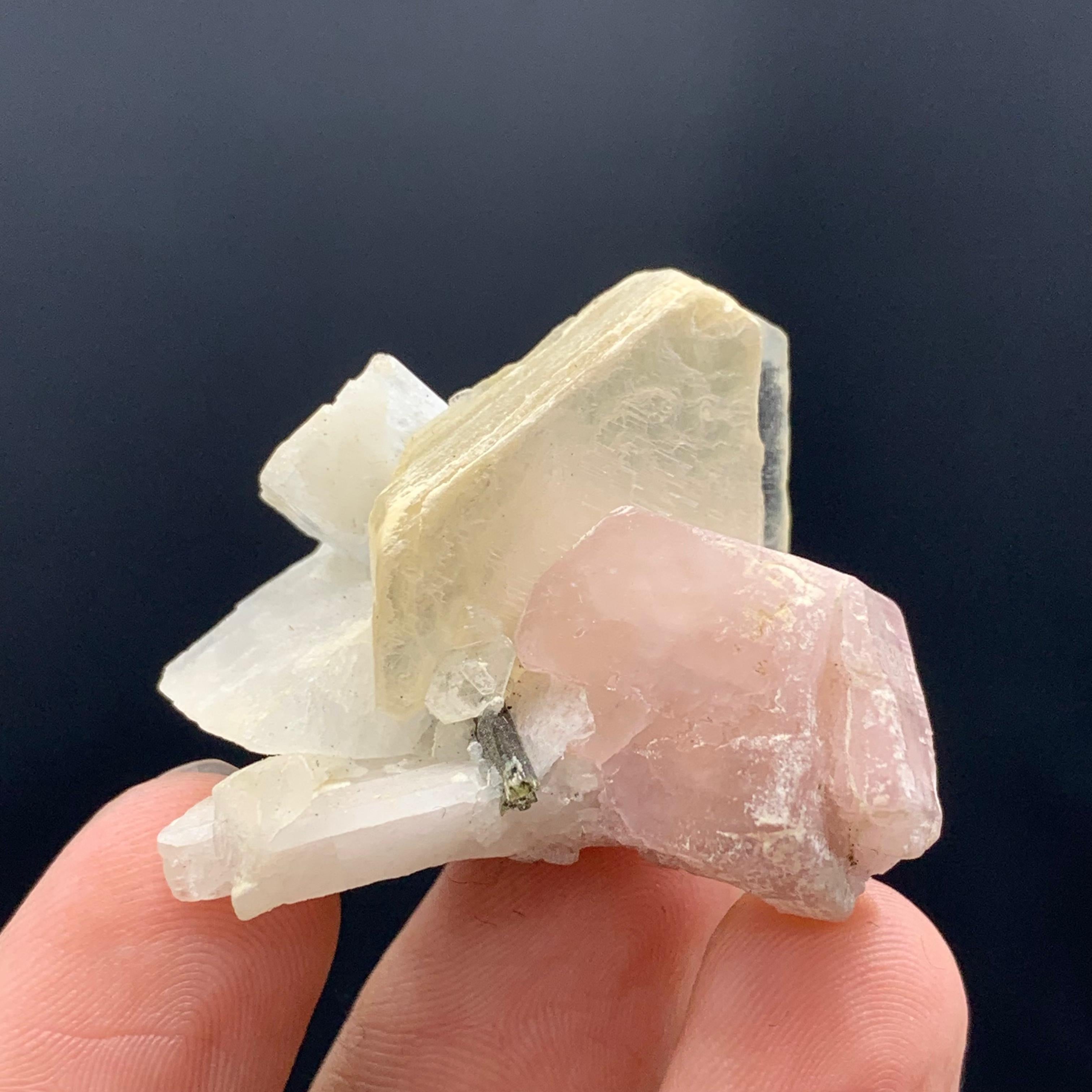 INFORMATIONS SUR LE PRODUIT :

Spécimen Туре : Belle Apatite rose joliment positionnée sur Mica avec Tourmaline 
Poids : 22 grammes
Dimensions : 3,5 x 4 x 2,3 cm : 3,5 x 4 x 2,3 cm
Origine : District de Skardu, Gilgit Baltistan, Pakistan
Traitement