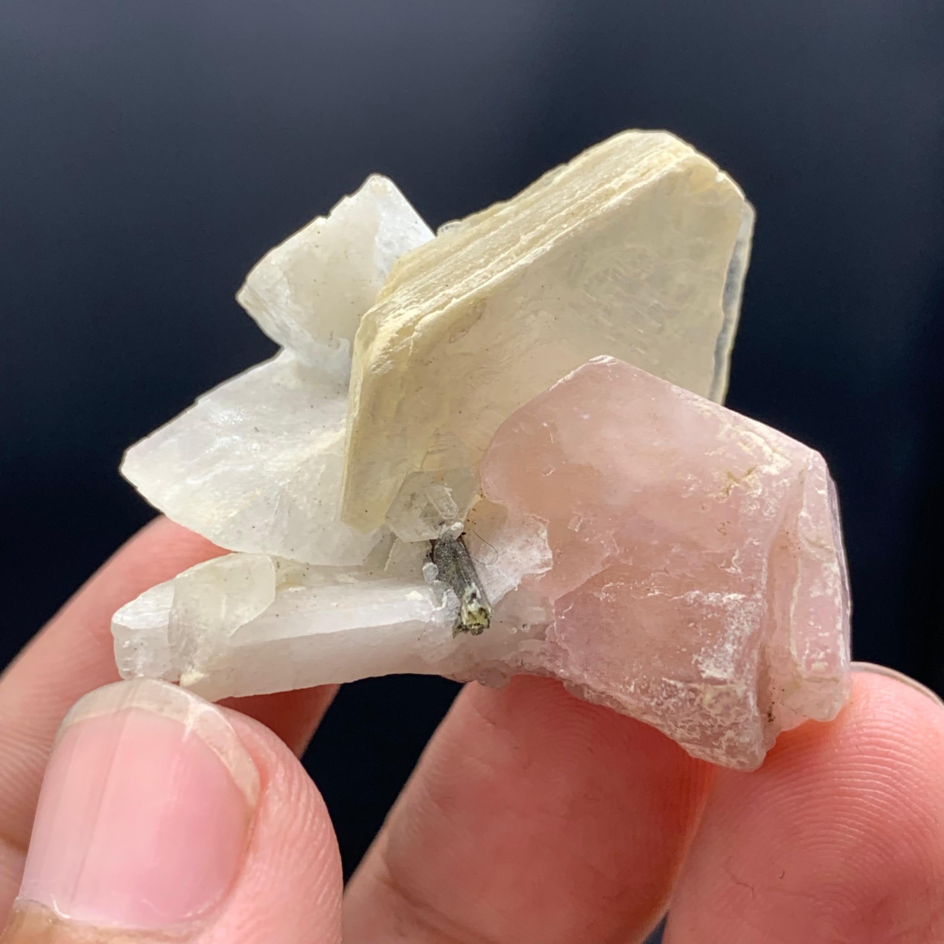 Pakistanais Jolie apatite rose joliment positionnée sur le mica avec tourmaline en vente