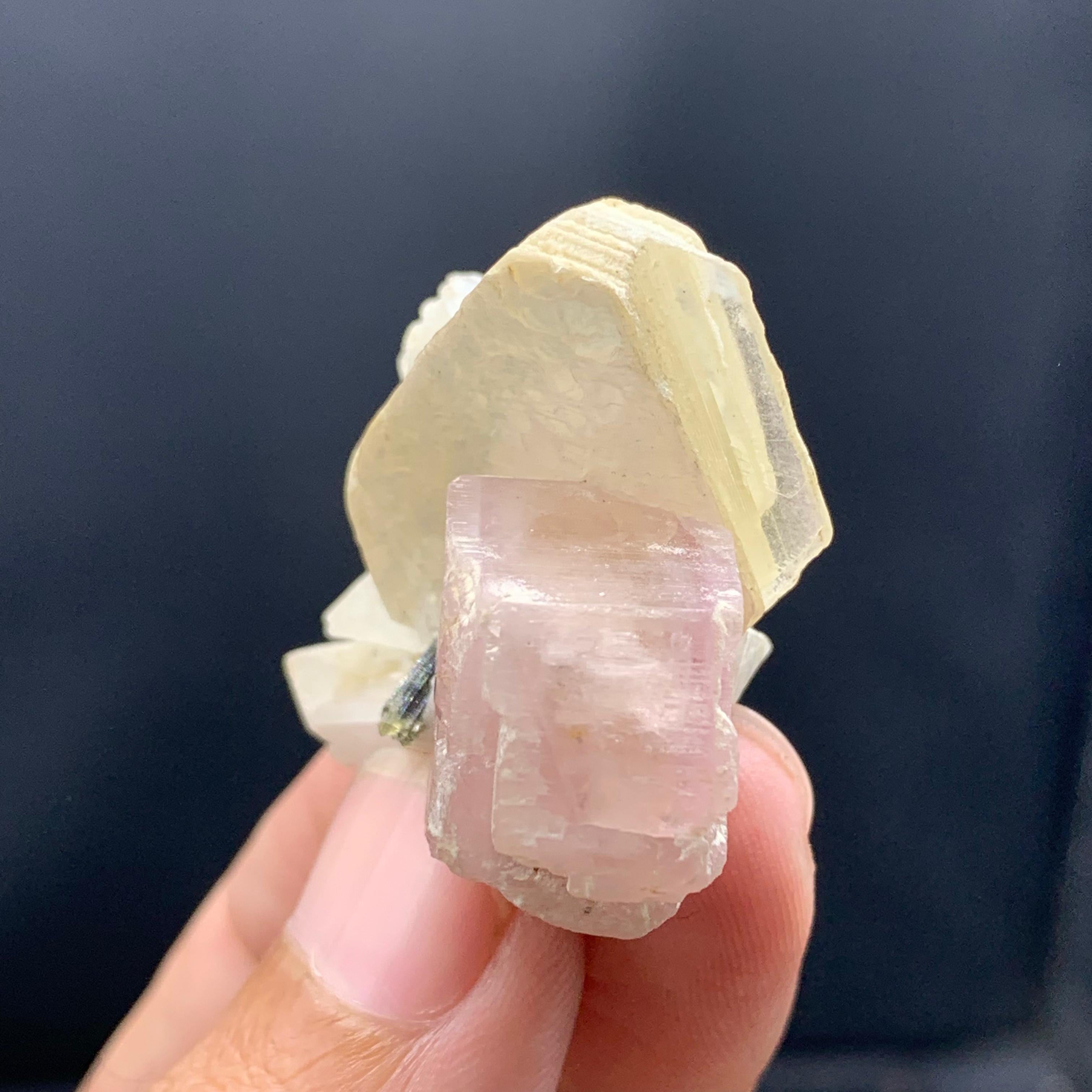 Jolie apatite rose joliment positionnée sur le mica avec tourmaline Bon état - En vente à Peshawar, PK