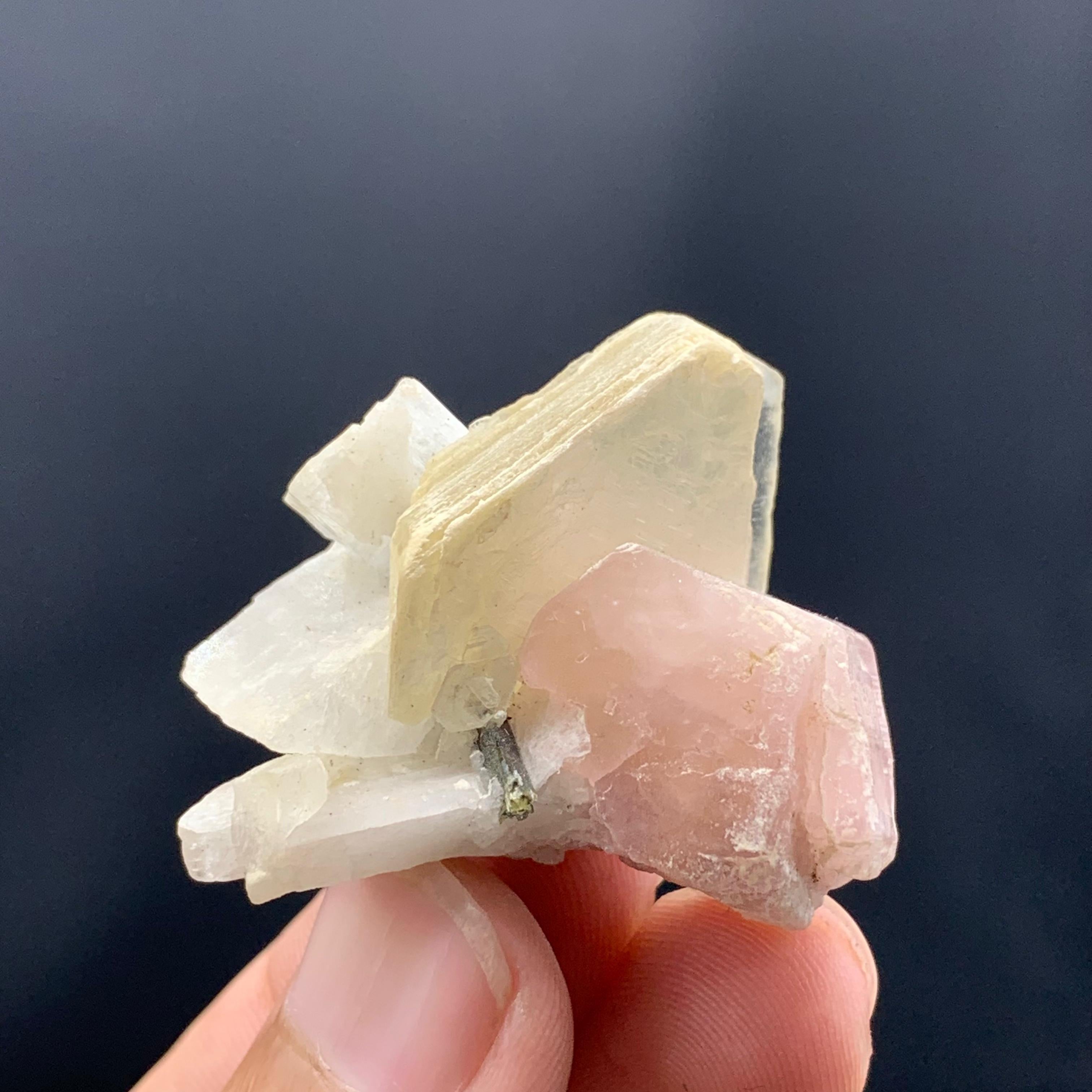 XXIe siècle et contemporain Jolie apatite rose joliment positionnée sur le mica avec tourmaline en vente