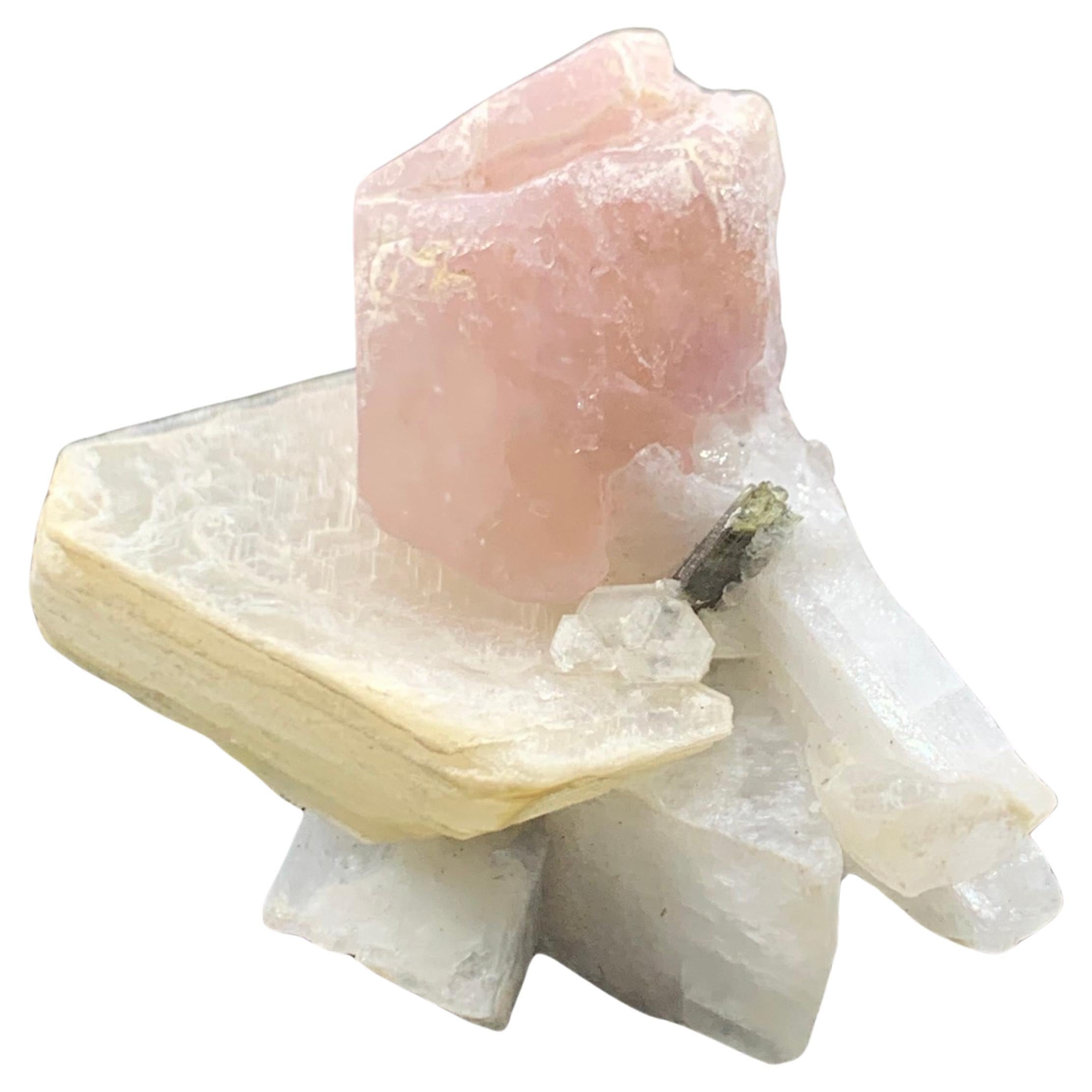 Bella apatite rosa ben posizionata sulla mica con tormalina