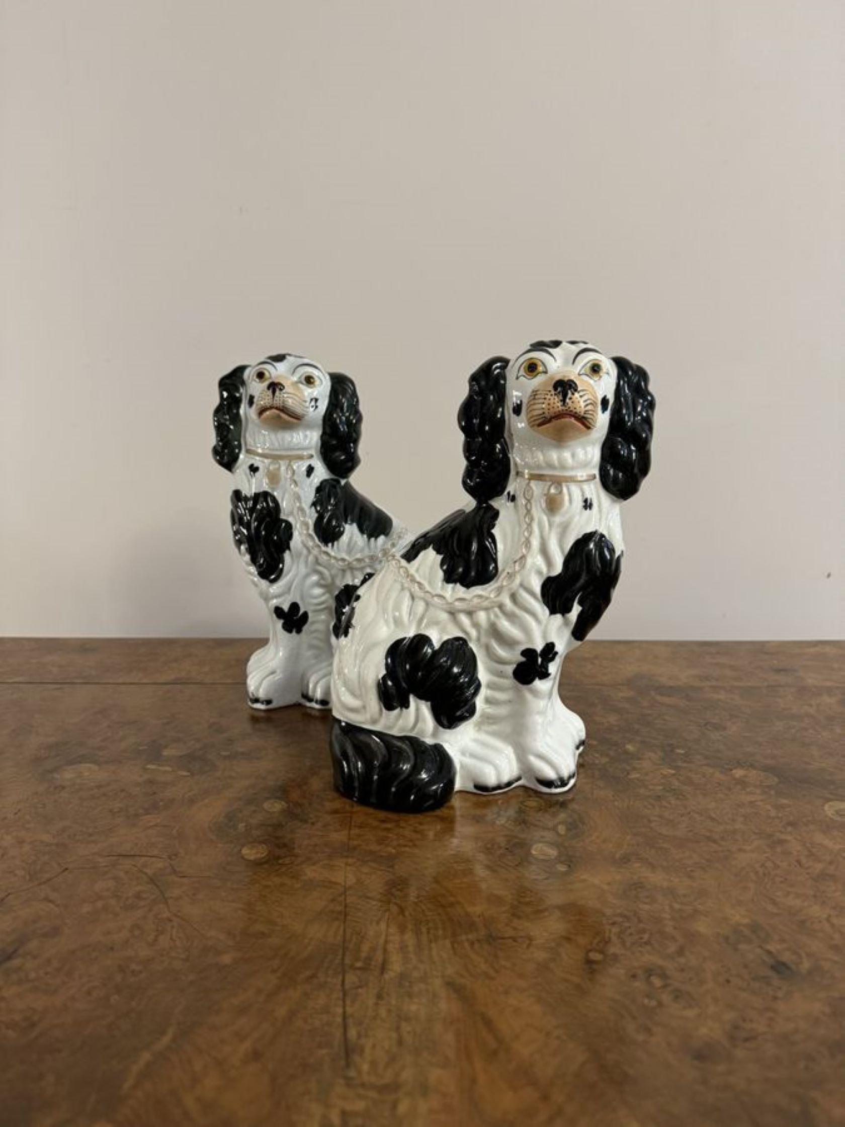 Lovely quality pair of antique black and white Staffordshire dogs In Good Condition In Ipswich, GB