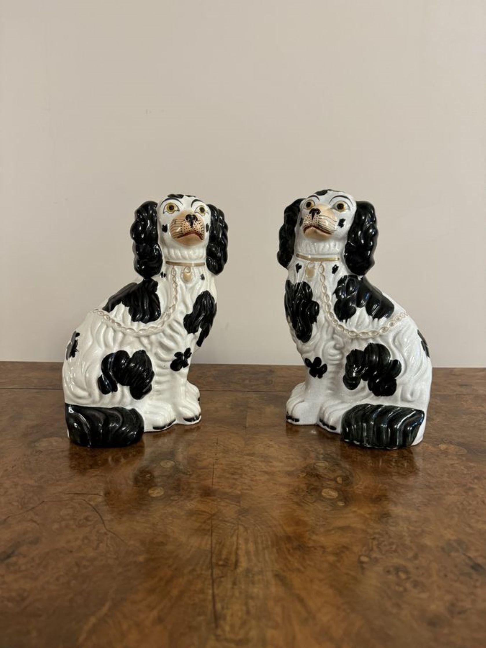 20th Century Lovely quality pair of antique black and white Staffordshire dogs