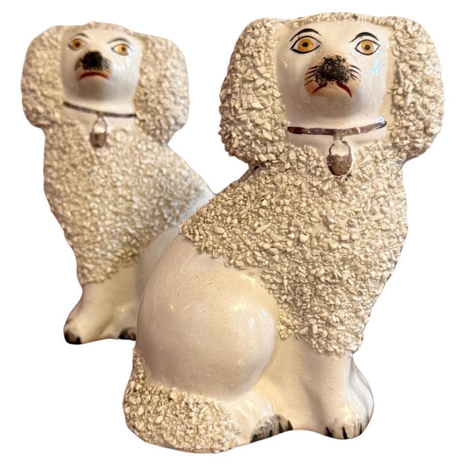 Lovely quality pair of antique miniature poodles For Sale