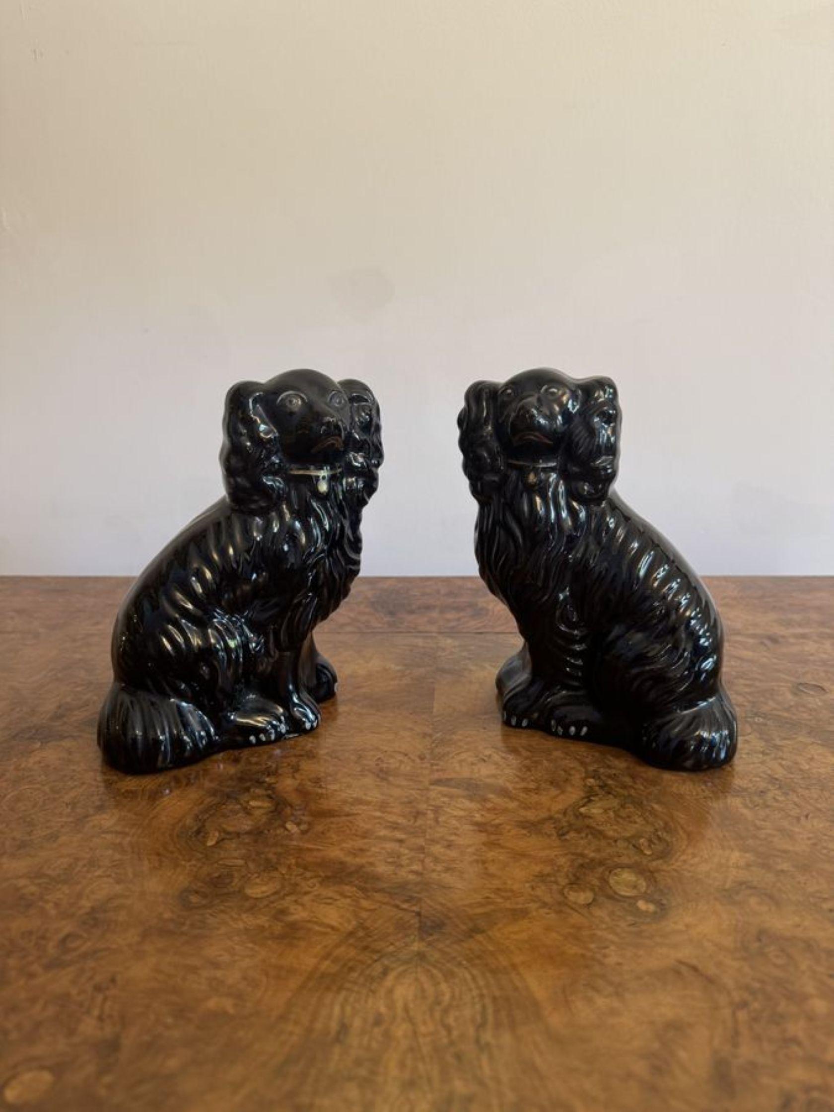 Preciosa pareja de perros antiguos victorianos de Staffordshire de calidad, con un par de perros antiguos victorianos de Staffordshire de pelaje negro en posición sentada.

D. 1860
