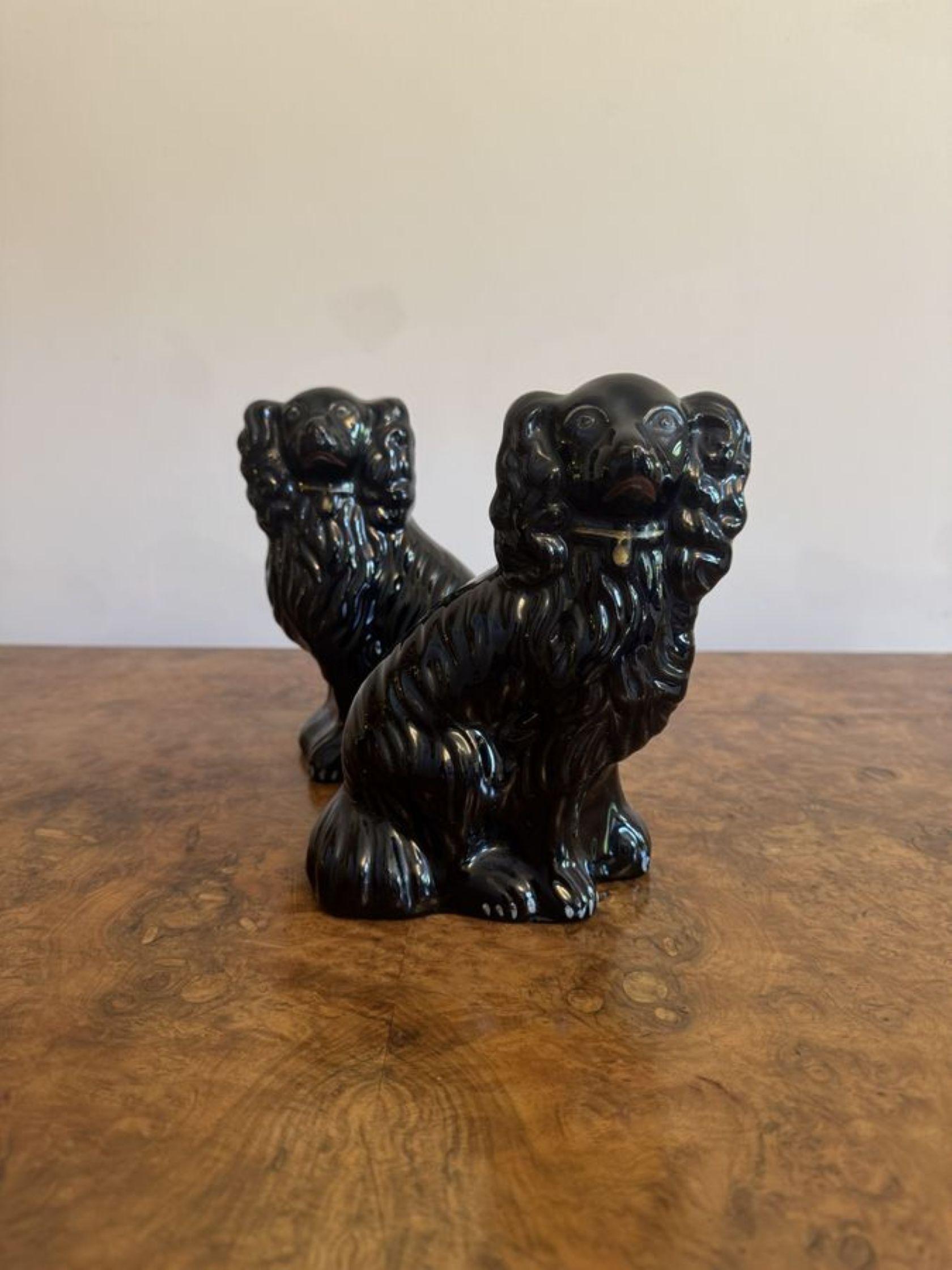 Precioso par de perros antiguos victorianos de Staffordshire de calidad Británico en venta