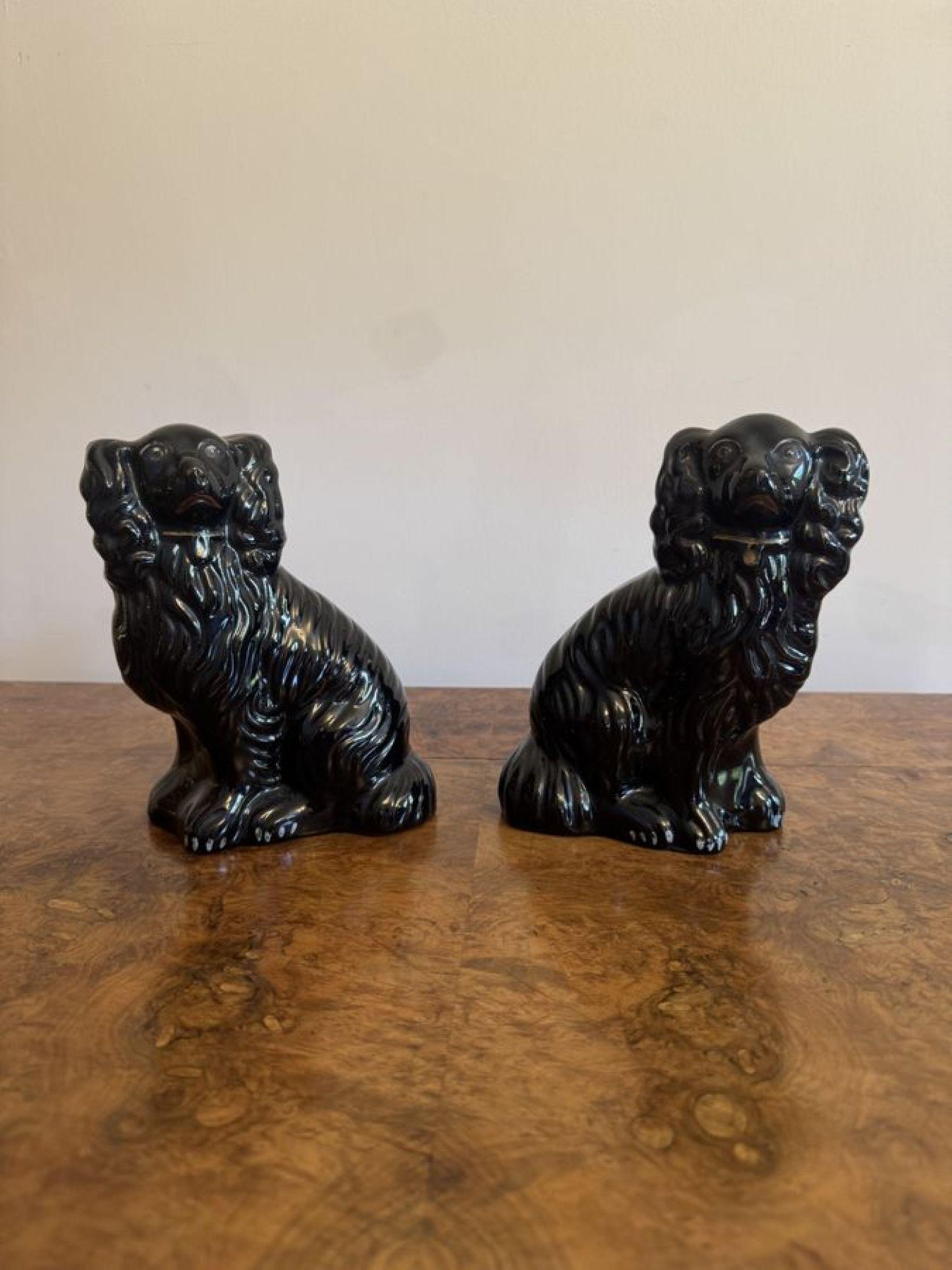 Precioso par de perros antiguos victorianos de Staffordshire de calidad siglo XIX en venta