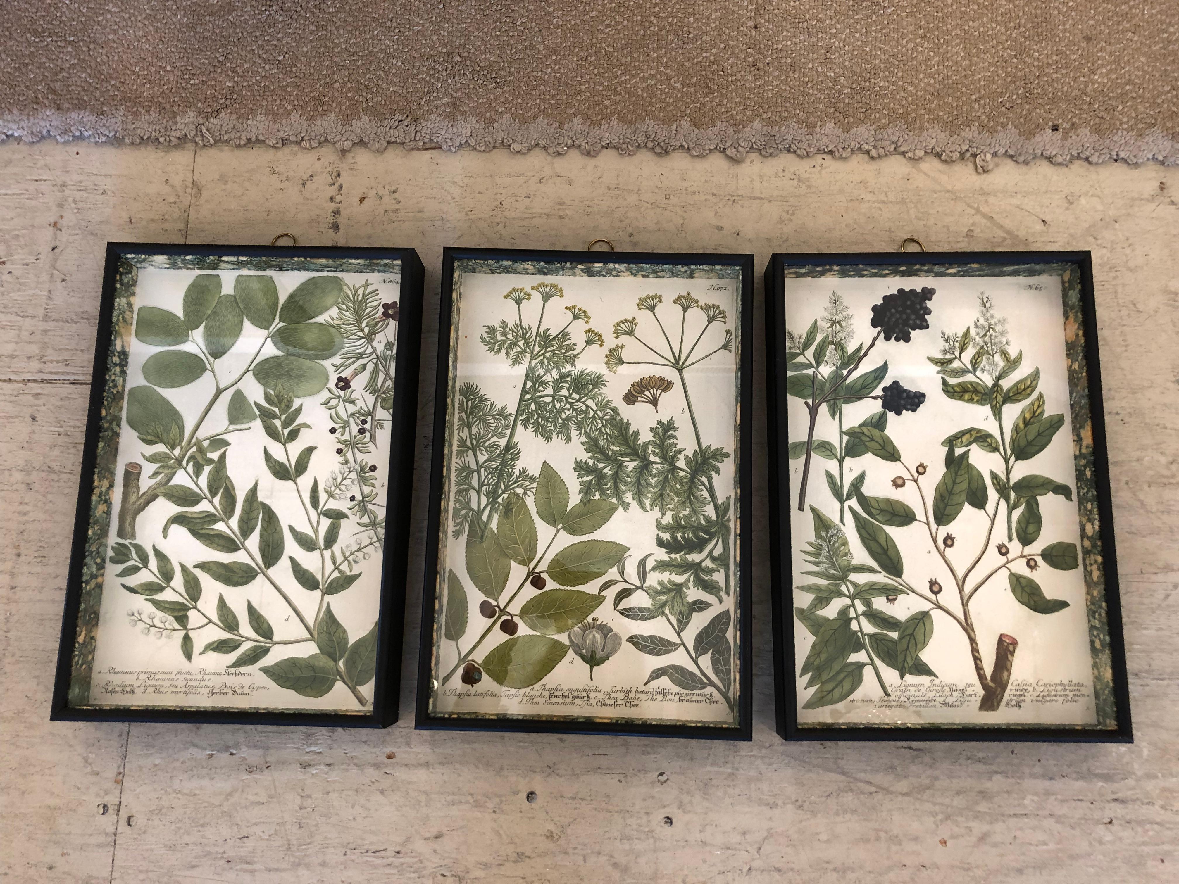 Lovely collection of 3 vintage botanical prints more recently made into striking shadowboxes lined on the interior edges and backs with marbleized paper. Found at an antique show in Nantucket and oozing with charm.