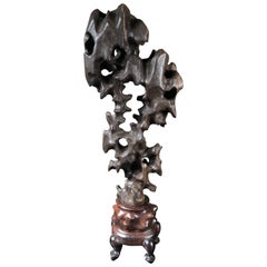 Lovely Tall Old Black "Infinity" Stone Taihu Scholar Rock from Old Shanghai