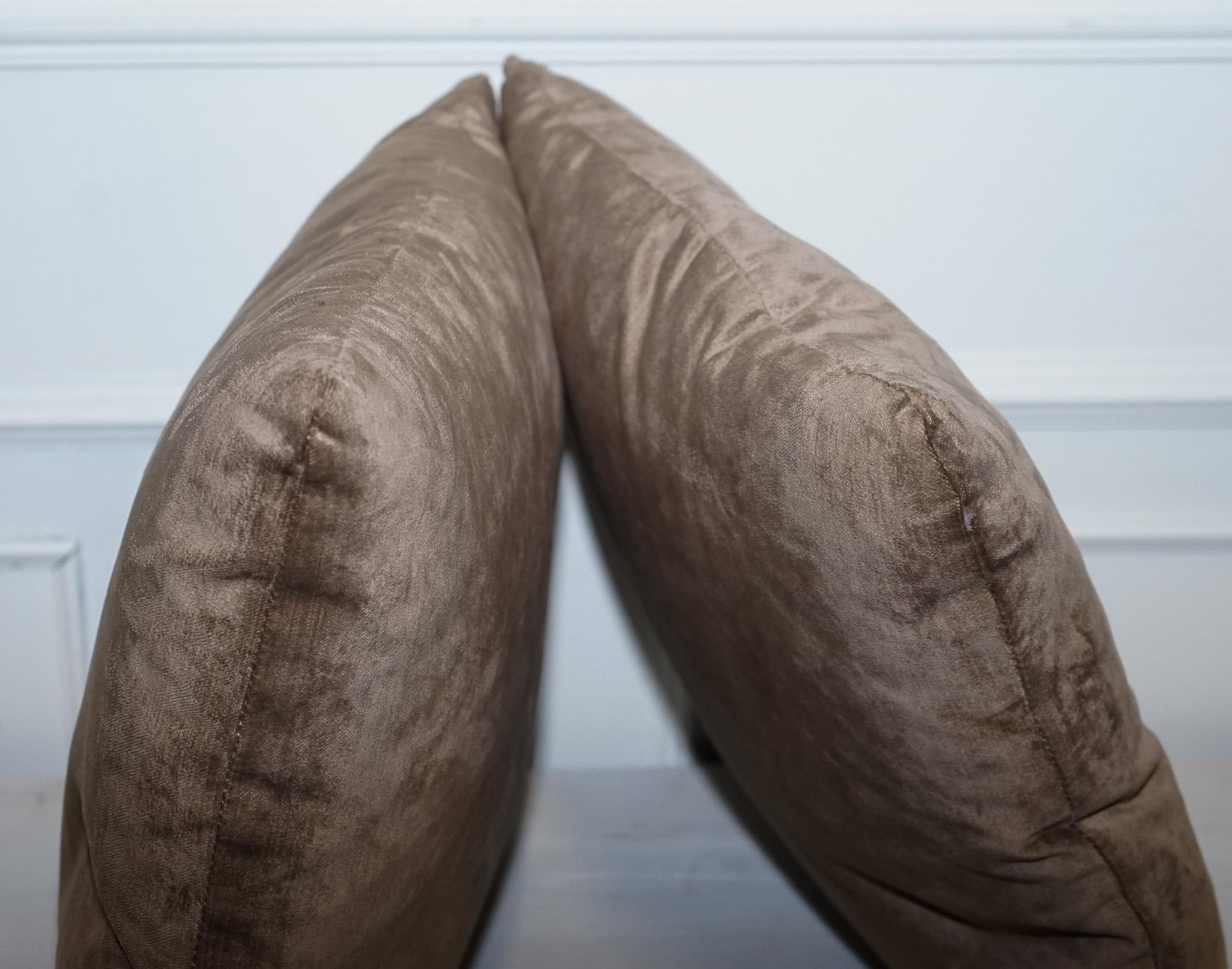 Tessuto Un bel paio d'anni fa di cushioni di piume marroni imbottite di piume. in vendita